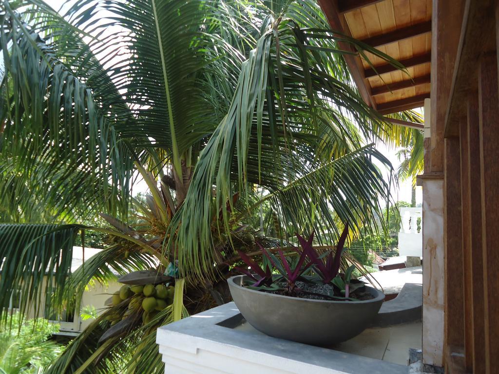 Sky Garden Mini Hotel Mirissa Exterior photo